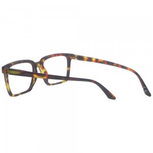 Plastic Reading Glasses