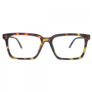 Plastic Reading Glasses