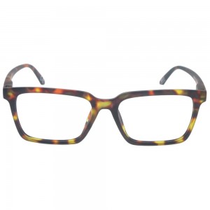 Plastic Reading Glasses