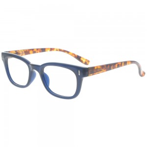 Plastic Reading Glasses