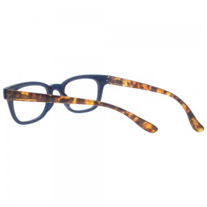 Plastic Reading Glasses