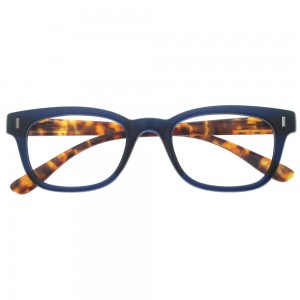 Plastic Reading Glasses