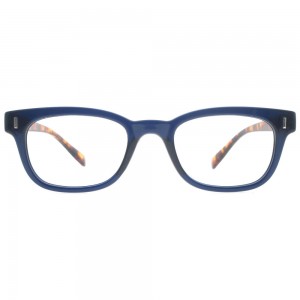 Plastic Reading Glasses