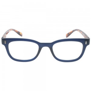 Plastic Reading Glasses