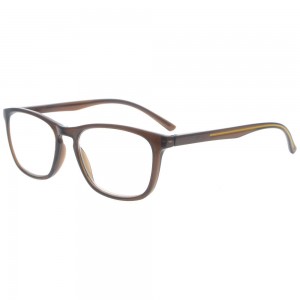 Plastic Reading Glasses