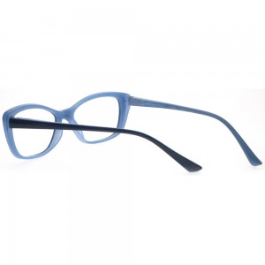 Plastic Reading Glasses