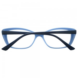 Plastic Reading Glasses