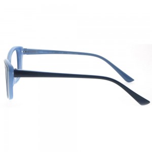 Plastic Reading Glasses