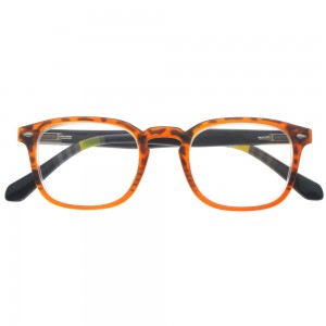 Plastic Reading Glasses