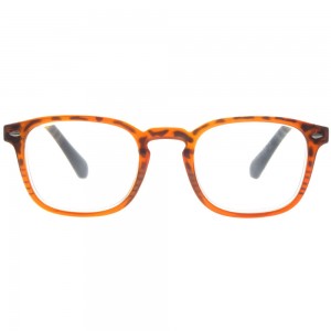 Plastic Reading Glasses