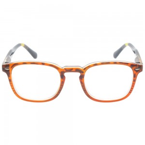 Plastic Reading Glasses