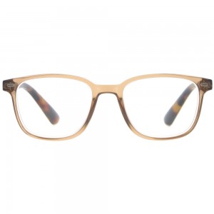 Plastic Reading Glasses