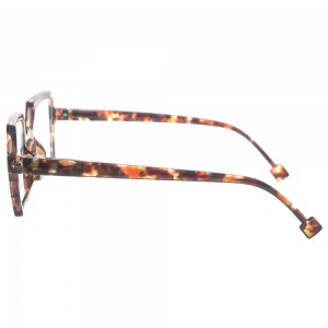 Plastic Reading Glasses