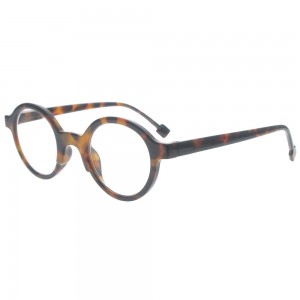 Plastic Reading Glasses