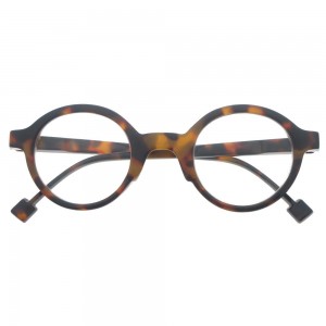 Plastic Reading Glasses