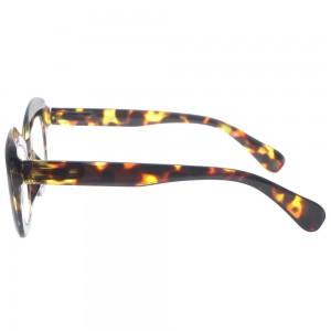 Plastic Reading Glasses