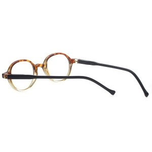 Plastic Reading Glasses