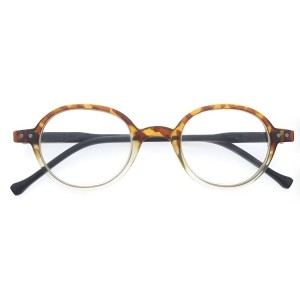 Plastic Reading Glasses