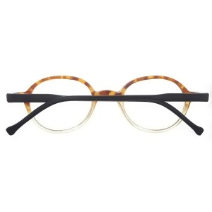 Plastic Reading Glasses