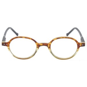 Plastic Reading Glasses