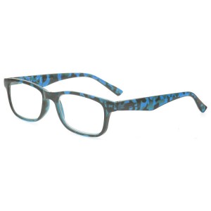 Plastic Reading Glasses