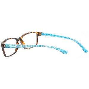 Plastic Reading Glasses