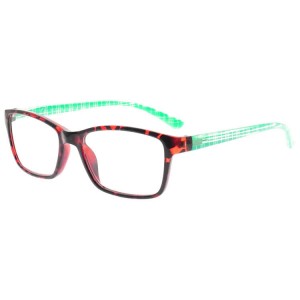 Plastic Reading Glasses