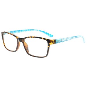 Plastic Reading Glasses