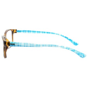 Plastic Reading Glasses