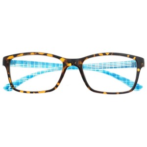 Plastic Reading Glasses