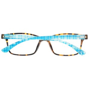 Plastic Reading Glasses