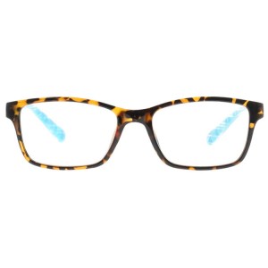 Plastic Reading Glasses