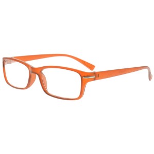 Plastic Reading Glasses