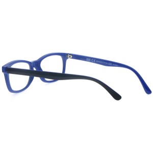 Reading Glasses