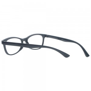 Plastic Reading Glasses