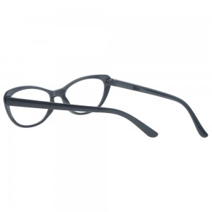 Plastic Reading Glasses