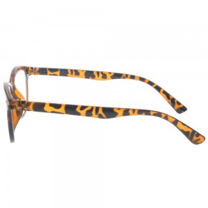 Plastic Reading Glasses