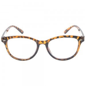 Plastic Reading Glasses