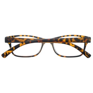 Plastic Reading Glasses