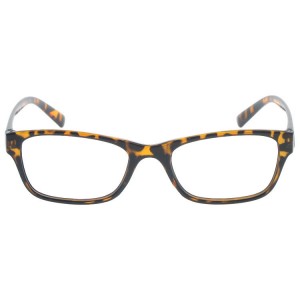 Plastic Reading Glasses