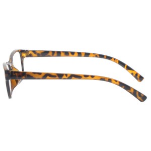 Plastic Reading Glasses