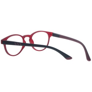 Plastic Reading Glasses