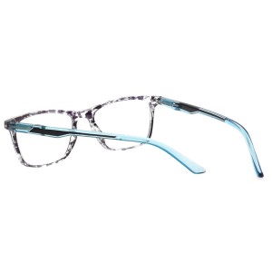 Plastic Reading Glasses