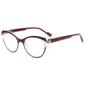 Plastic Reading Glasses