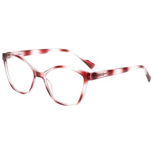 Plastic Reading Glasses