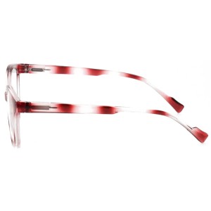 Plastic Reading Glasses