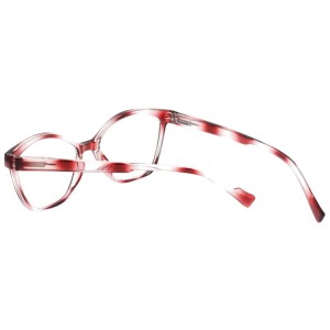 Plastic Reading Glasses