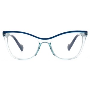 Plastic Reading Glasses