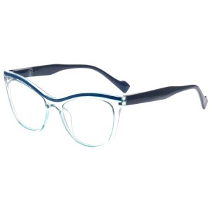 Plastic Reading Glasses