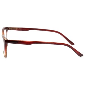 Plastic Reading Glasses